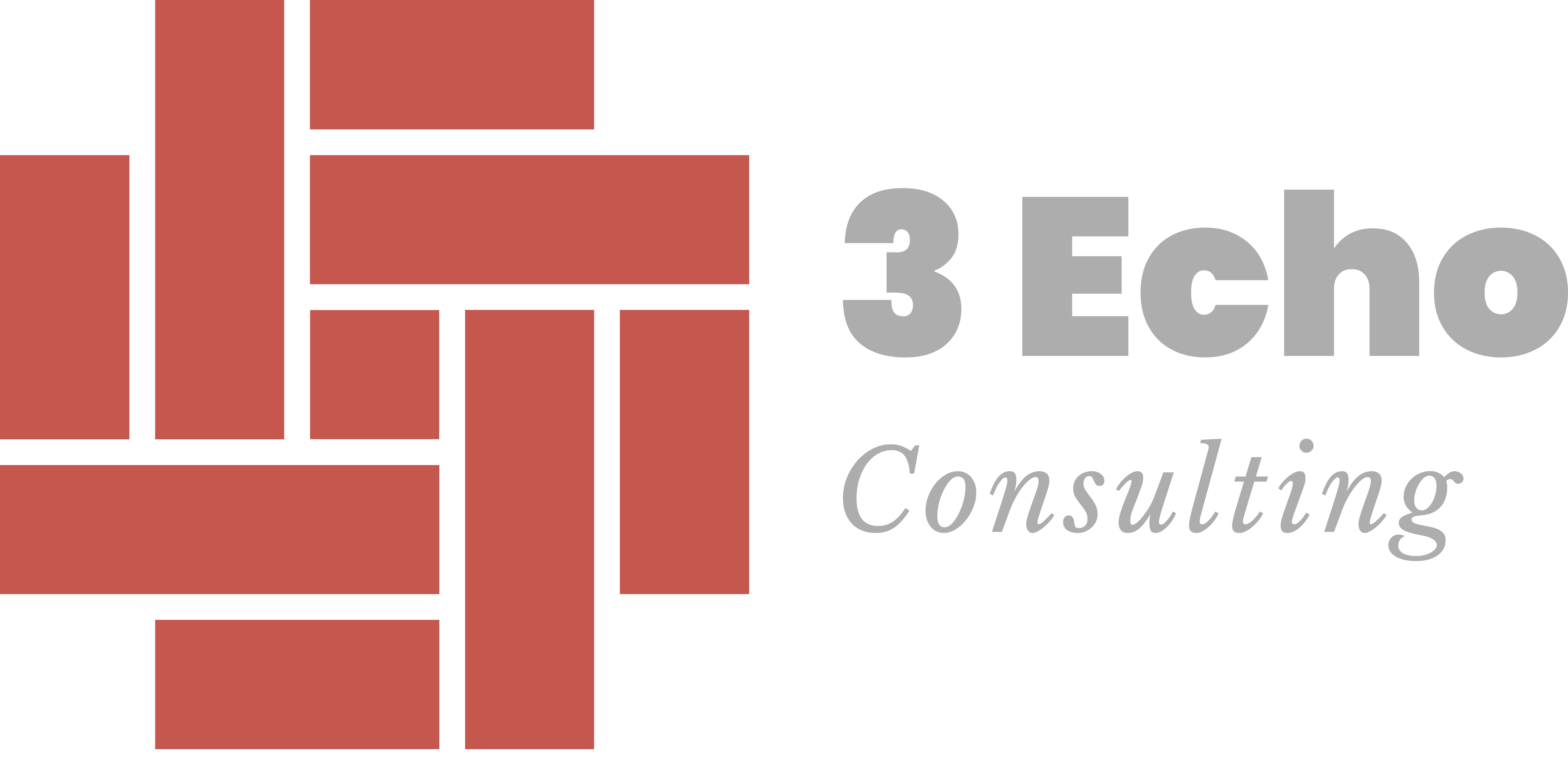 3 Echo Consulting
